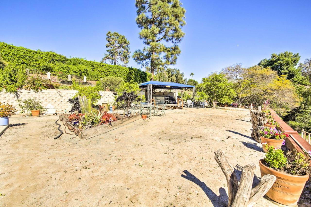 Sunny Bonita Studio About 5 Mi To Historic Dtwn! 외부 사진
